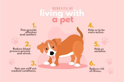 Dr. J.D.'s Pet Clinic & Shop business photograph