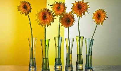 AMAR DOCUMENTS CENTRE business photograph