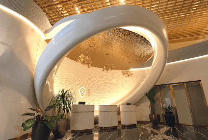 T2 080 Domestic Lounge business photograph