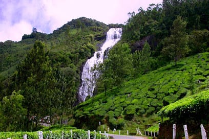 VVJ taxi service munnar 24x7 business photograph