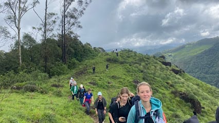 Munnar Hiking Adventures | Munnar Trekking | Munnar Trekking Adventure | Best Munnar Trekking | Munnar Hiking business photograph