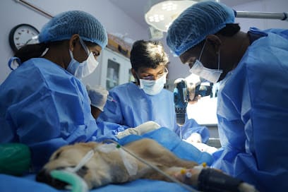 Pet's Care Super Specialty Hospital - Jubilee Hills business photograph
