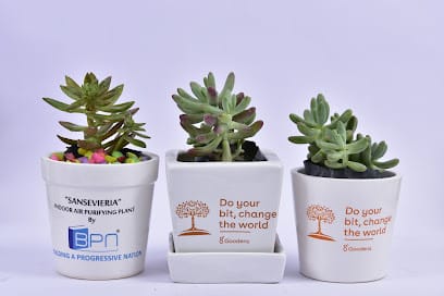 Plant N Pots business photograph