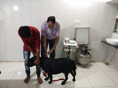 Dr.Gautam's Dog Clinic And Hospital business photograph