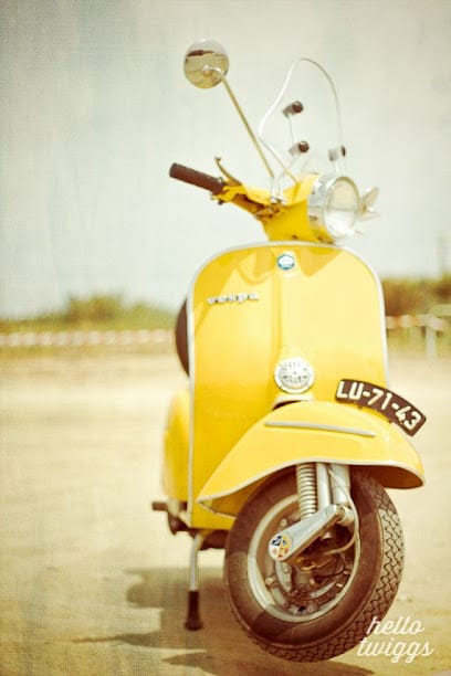 Wayanad Bike Rentals business photograph