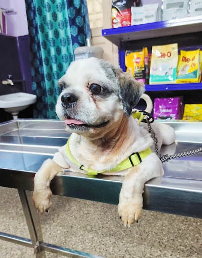 Passion Pets Clinic & Surgery business photograph