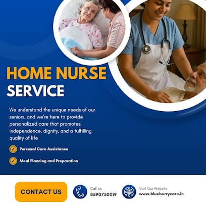 Blueberry Home Nursing And Placement Services business photograph