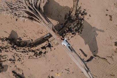 Moment Filmer business photograph