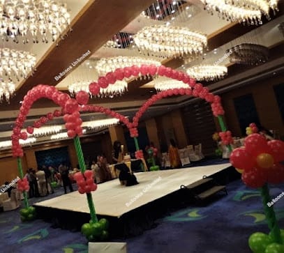 Balloons Unlimited Prayagraj business photograph