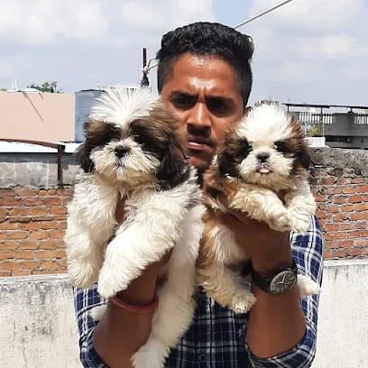 Ujjain pets business photograph