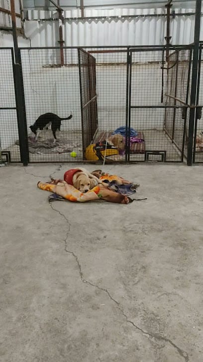 Dog's Den ( Hostel And Lodging ) business photograph