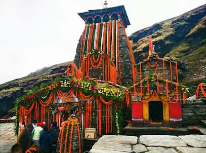 Starlight Camps business photograph