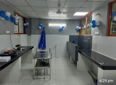 ROYAL ANIMAL HOSPITAL, METTUPALAYAM business photograph