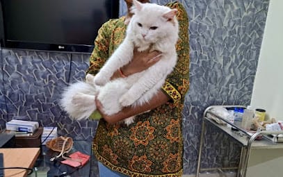 PetVet Veterinary Clinic business photograph