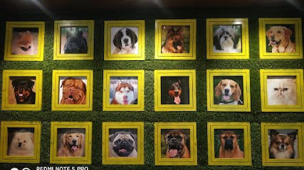 Dr. Gaur's Pet Planet business photograph