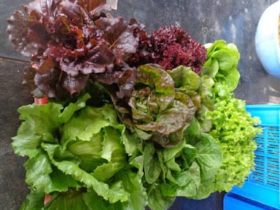 GreenTokri Farms Pvt Ltd business photograph