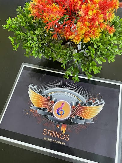 STRINGS MUSIC ACADEMY (International) business photograph