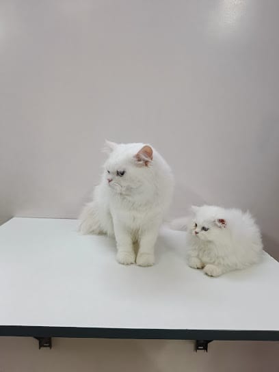 My Pet's Choice business photograph