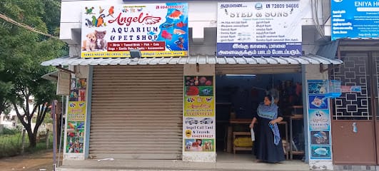 Angel Aquarium and pet shop, salem business photograph