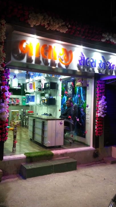 Balaji Sales Agency business photograph