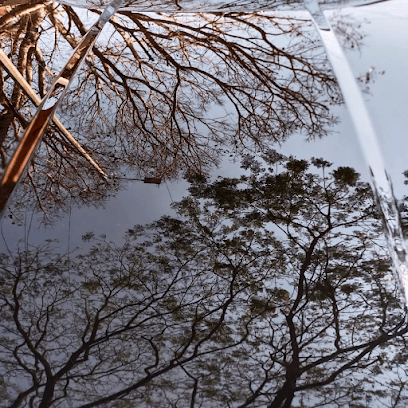 SK Auto Detailing Studio business photograph