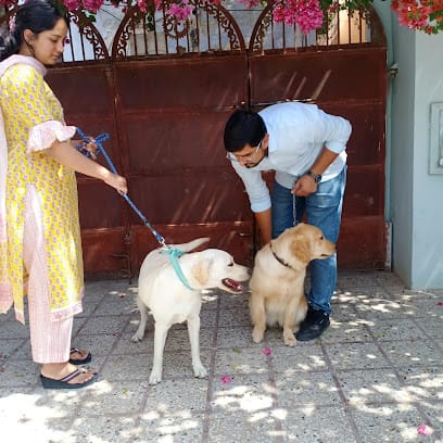 Julie's Pet Care Center - Dog Care business photograph