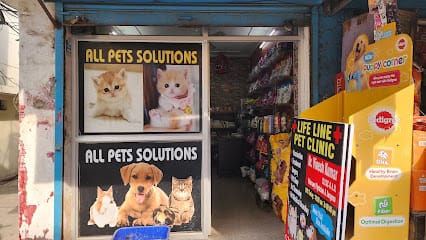All pets solutions - Best Pet Shop / Pet Hostel / Pet Food Shop / Best Pet Hospital In Moradabad business photograph
