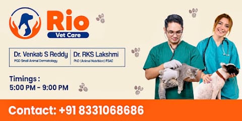 Rio Vet Care business photograph