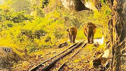 Ooty Taxi Services business photograph