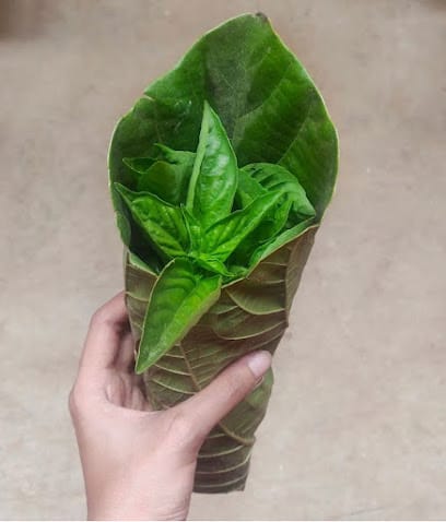 Healthy Buddha business photograph