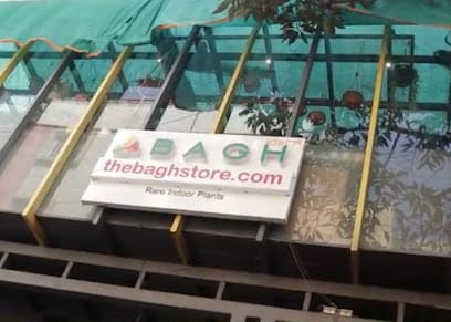 TheBaghStore - All Indoor Plants in Bangalore business photograph
