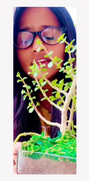 arky technologies | vARKY TECHNOLOGY SOLUTIONS PVT LTD business photograph