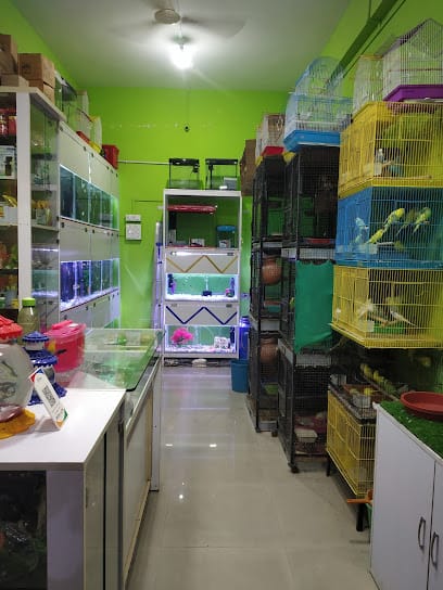 Birds Paradise And Fish Aquarium business photograph