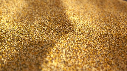 HEN Plus + business photograph