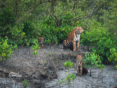 Sundarban Wildlife Tourism | Tiger Safari India | Wildlife tours | Red Panda Tourism | Tiger tours | Red Panda Expedition business photograph