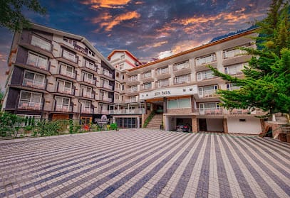 Sun Park Resort & Spa, Aleo, Manali business photograph