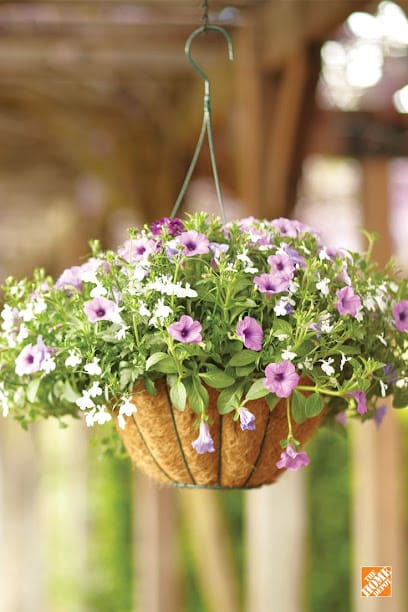 R.G.ENTERPRISES - Mfg. COIR GARDEN ARTICLES | COIR POTS | COIR BASKET | COIR COMPOST business photograph