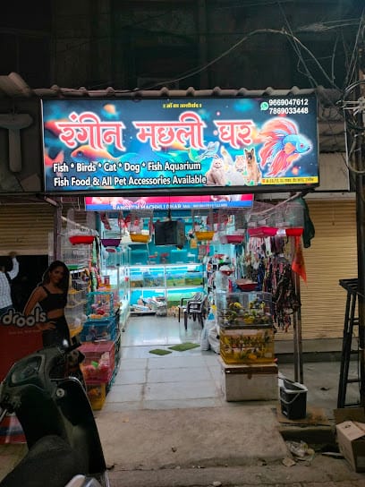 Rangeen Machhli ghar business photograph
