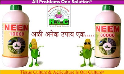 रामसन ग्रुप ऑफ़ कंपनी business photograph