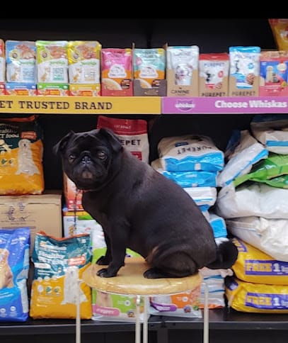 Cuddles Pet Shop. (🐶 Grooming and spa),Haircut, Bathing, Pet Accessories and food . business photograph