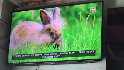 Led Lcd Tv Repair The Electronic Shop business photograph