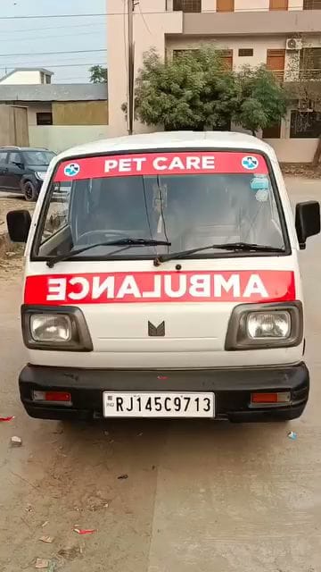 Raj Emergency Pet Home Visit and ambulance service business photograph