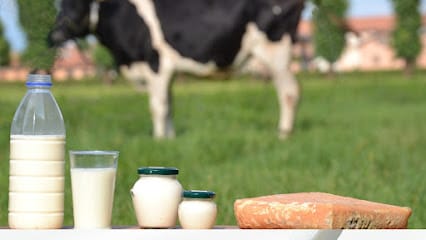 Vasudevam Farm business photograph