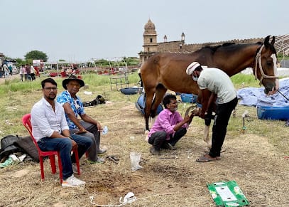 Pet Clinic ( Pet Care Center ) business photograph