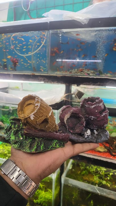 Aqua Club business photograph