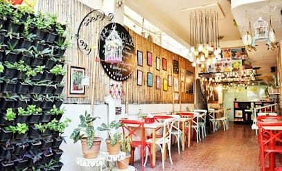 MITTI Cafe business photograph