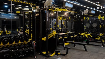 Muscle Junkie - Available on Cult Fit | Gyms In Model Town business photograph