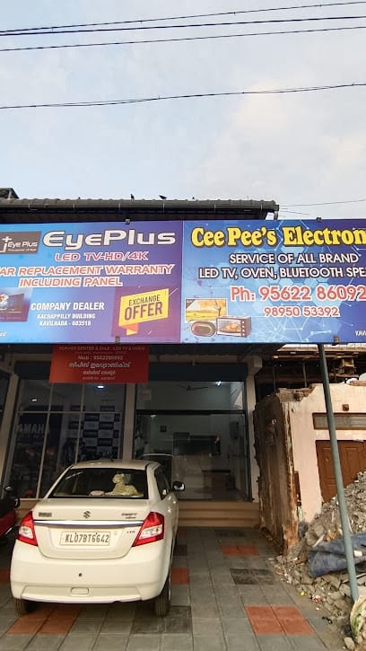 CEEPEES ELECTRONICS business photograph