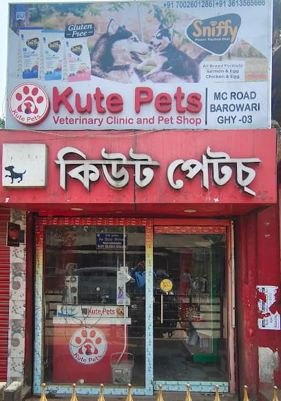 Kute Pets business photograph