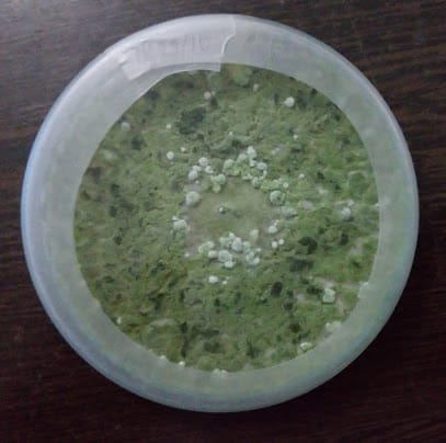 Nature Agrocare & Research Pvt. Ltd. business photograph